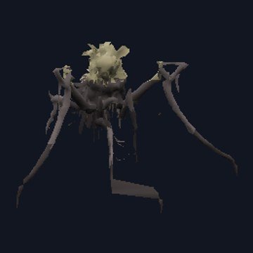 1. Echidna